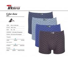 Стрейчеві чоловічі боксери Indena Арт: 11444 / 3XL, 4XL /