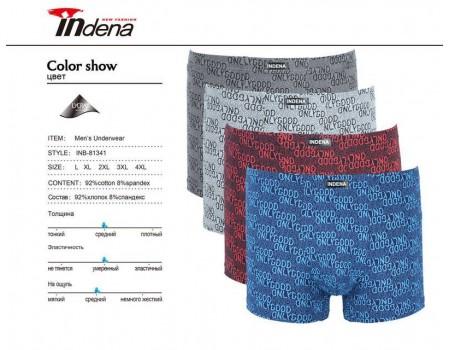 Стрейчеві чоловічі боксери Indena Арт: 81341