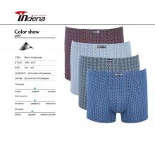 Стрейчеві чоловічі боксери Indena Арт: 11437 / 3XL, 4XL /