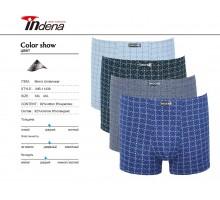 Стрейчеві чоловічі боксери Indena Арт: 11439 / 3XL, 4XL /