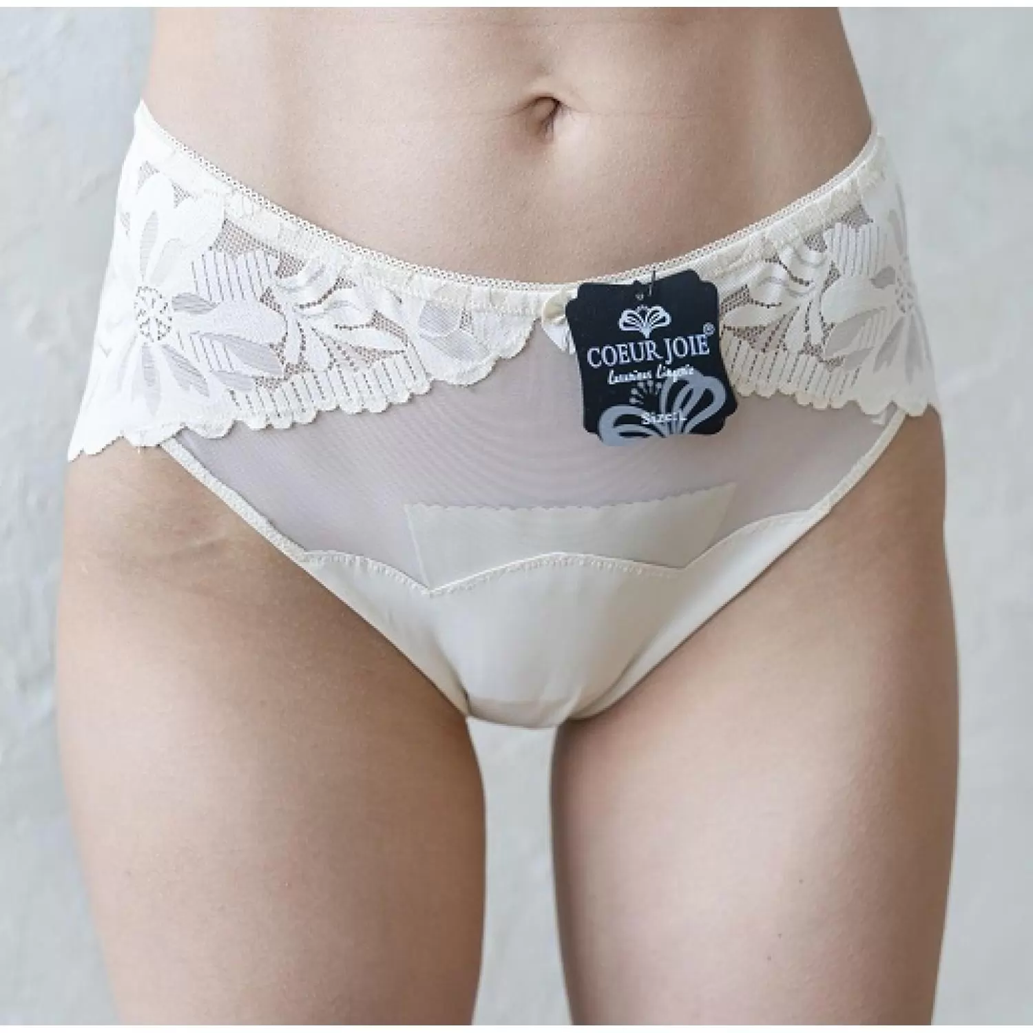 Үйде мысықты қалай мастурбациялауға болады (бейне)