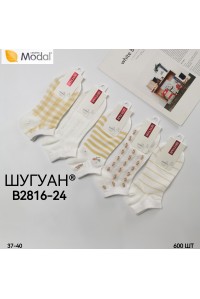 Модальные женские носки ШУГУАН короткие Арт.: B2816-24