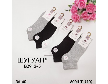 Стрейчевые женские носки в сеточку ШУГУАН короткие Арт.: B2912-5
