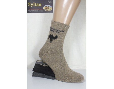Шерстяные подростковые носки SYLTAN высокие Арт.: 3873 / Упаковка 12 пар /