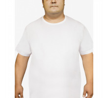Мужская футболка Oztas A-1037 батал