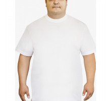 Мужская футболка Oztas A-1038 батал