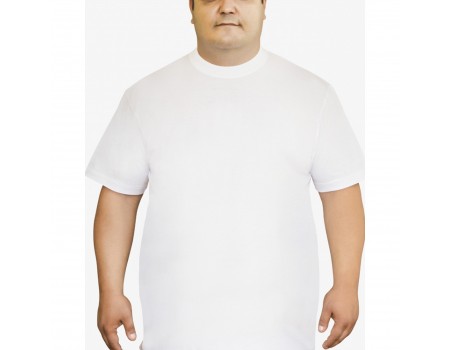 Мужская футболка Oztas A-1038 батал