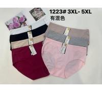 Жіночі трусики-максі Beisdanna Арт: 1223 / Асорті кольорів /