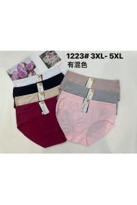 Женские трусики-макси Beisdanna Арт: 1223 / Ассорти цветов /