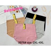 Жіночі трусики-максі Beisdanna Арт: 3976 / Асорті кольорів /
