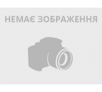 Бюстгальтер Biweier на тонком поролоне Арт.: 71989# C